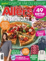 Allers SE